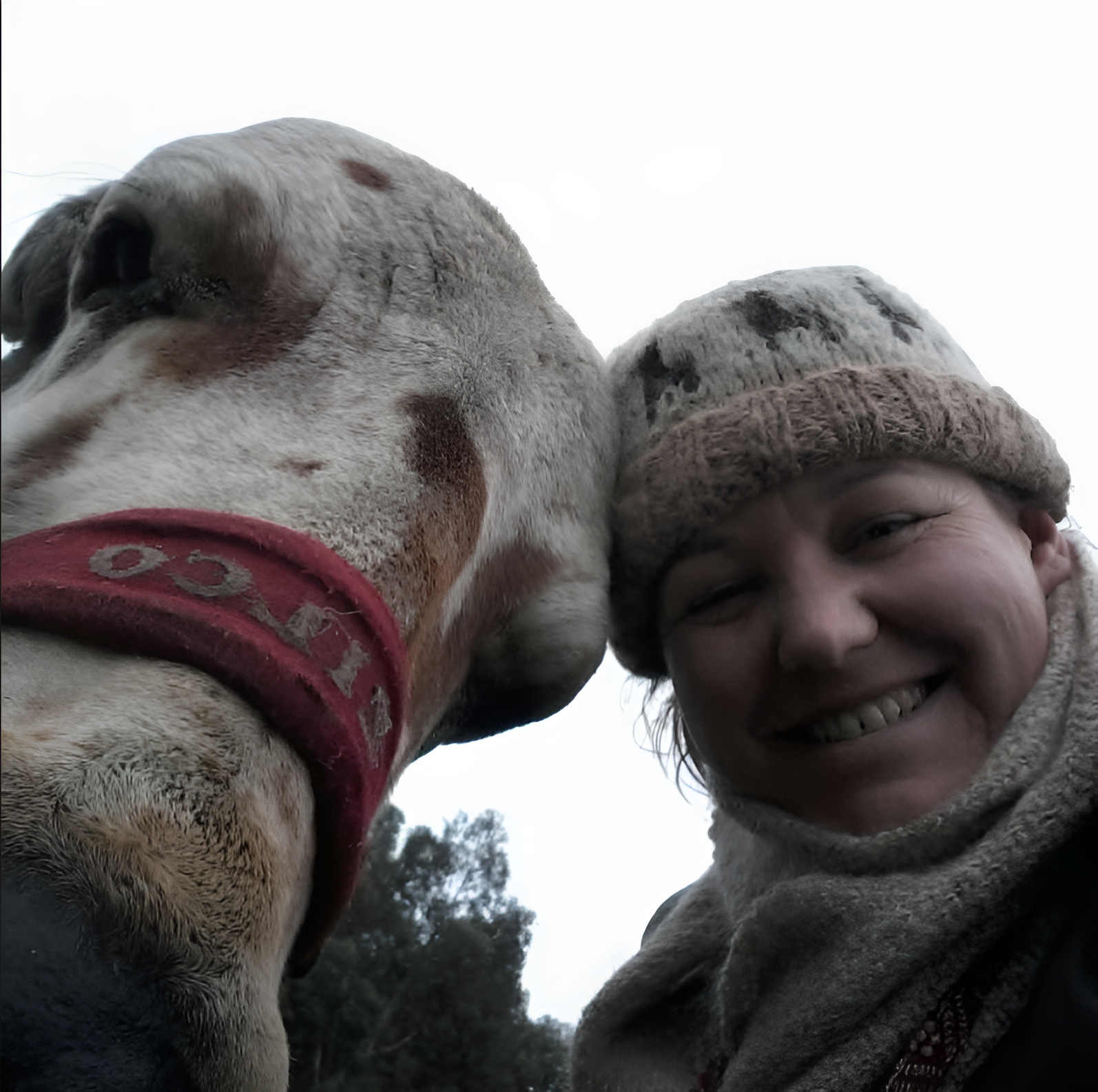 "I've never been to a temple before and had no idea what to expect. The Sunday Feast was completely free, and the volunteers treated me like family. The vegetarian meal was the best I've had in Melbourne. It's refreshing to be in a space where everyone is kind without expecting anything in return." 