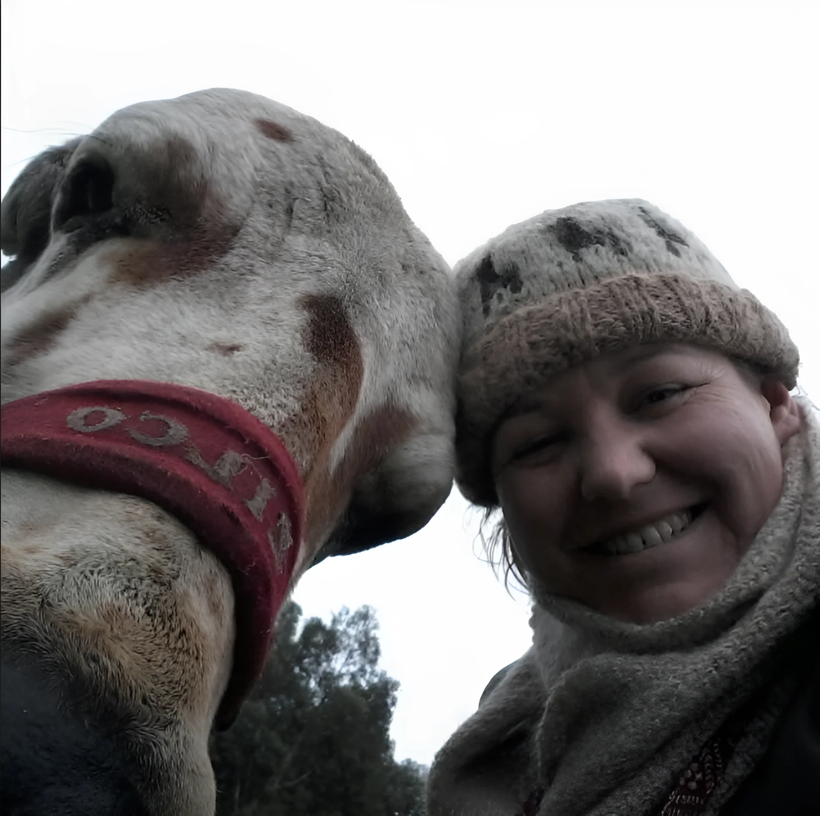 "I've never been to a temple before and had no idea what to expect. The Sunday Feast was completely free, and the volunteers treated me like family. The vegetarian meal was the best I've had in Melbourne. It's refreshing to be in a space where everyone is kind without expecting anything in return." 